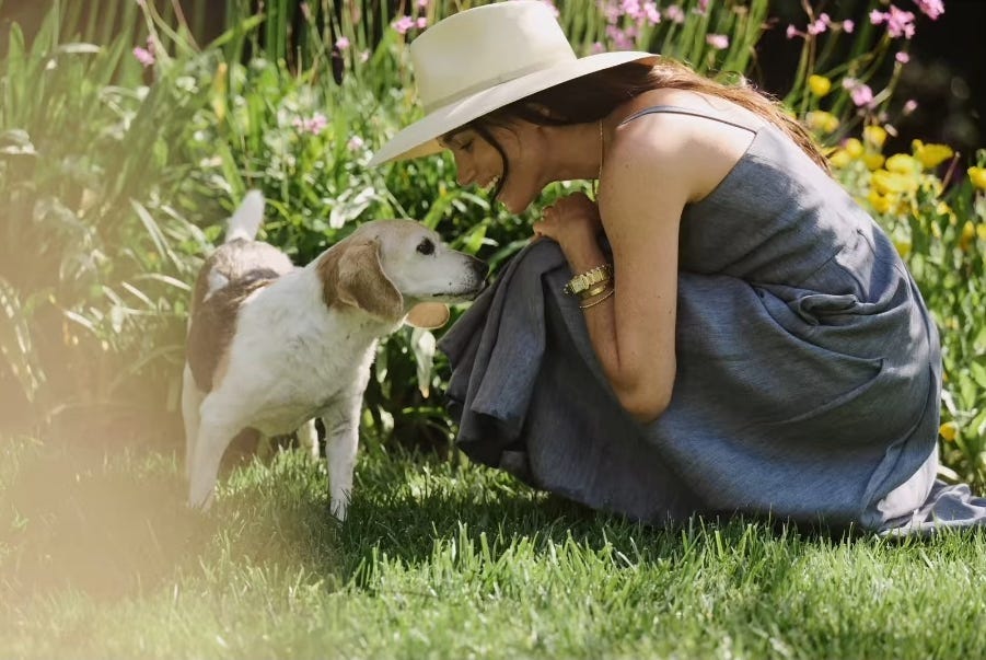 a woman kneeling down to interact with a beagle dog in a garden setting