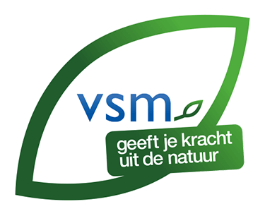 VSM Logo