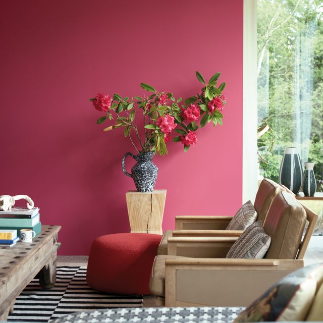 Pink, Room, Red, Houseplant, Interior design, Furniture, Plant, Flower, Living room, Tree, 