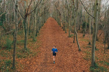 een man loopt in een bos tijdens de herfst