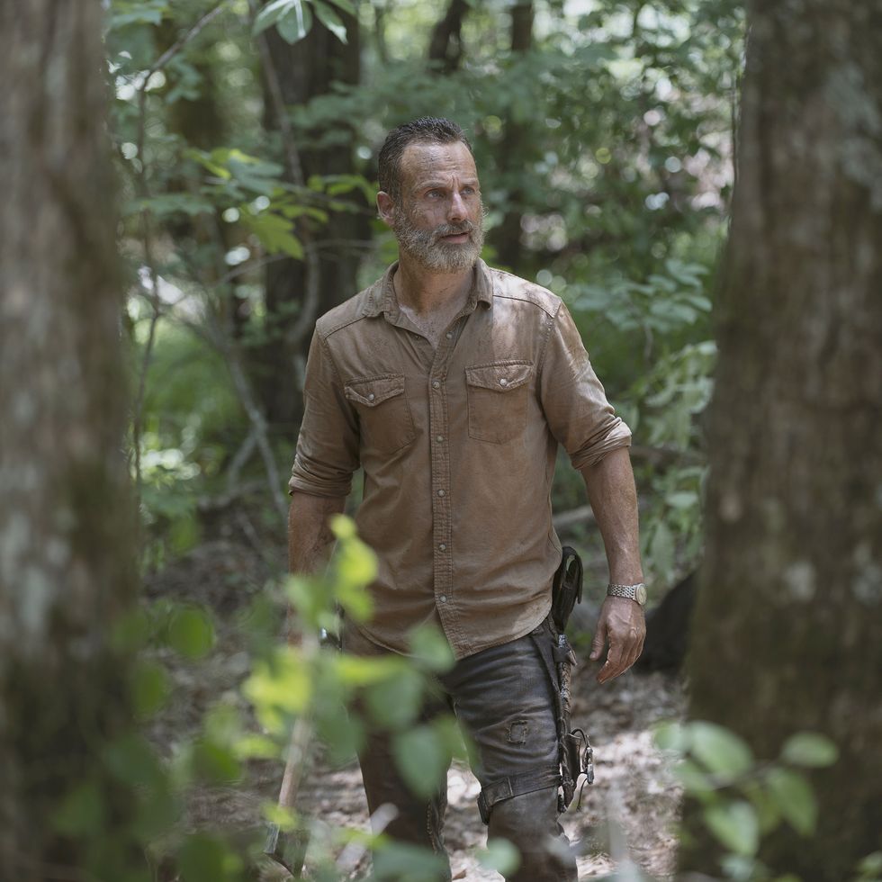 the walking dead, andrew lincoln, rick grimes