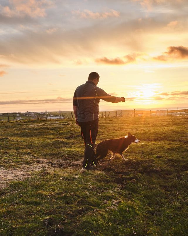 a man and a dog walking on a grassy field