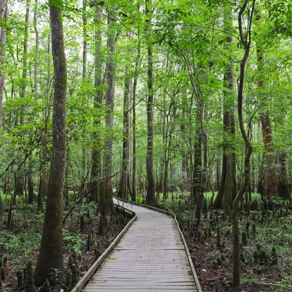 walking in nature