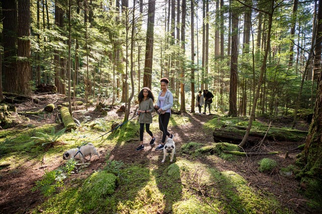 walking routes