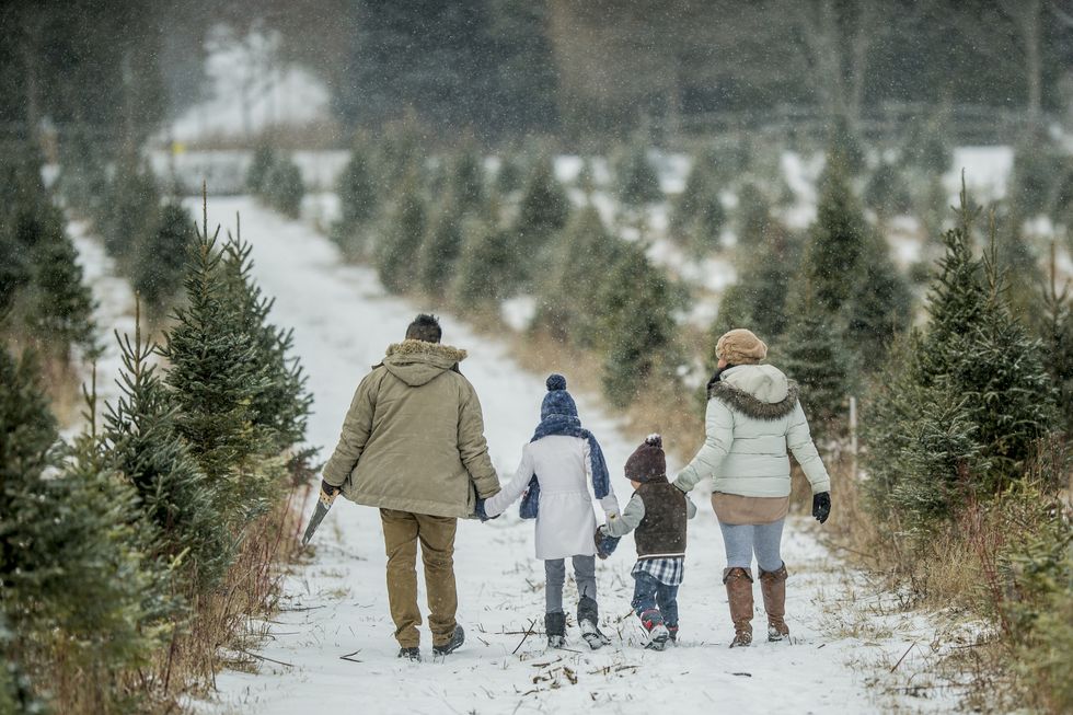 Real vs. Fake Christmas Trees: Which One Is Right for Your Home?