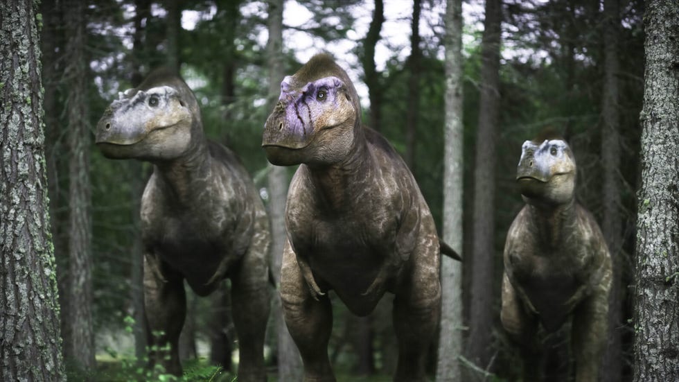 walking with dinosaurs