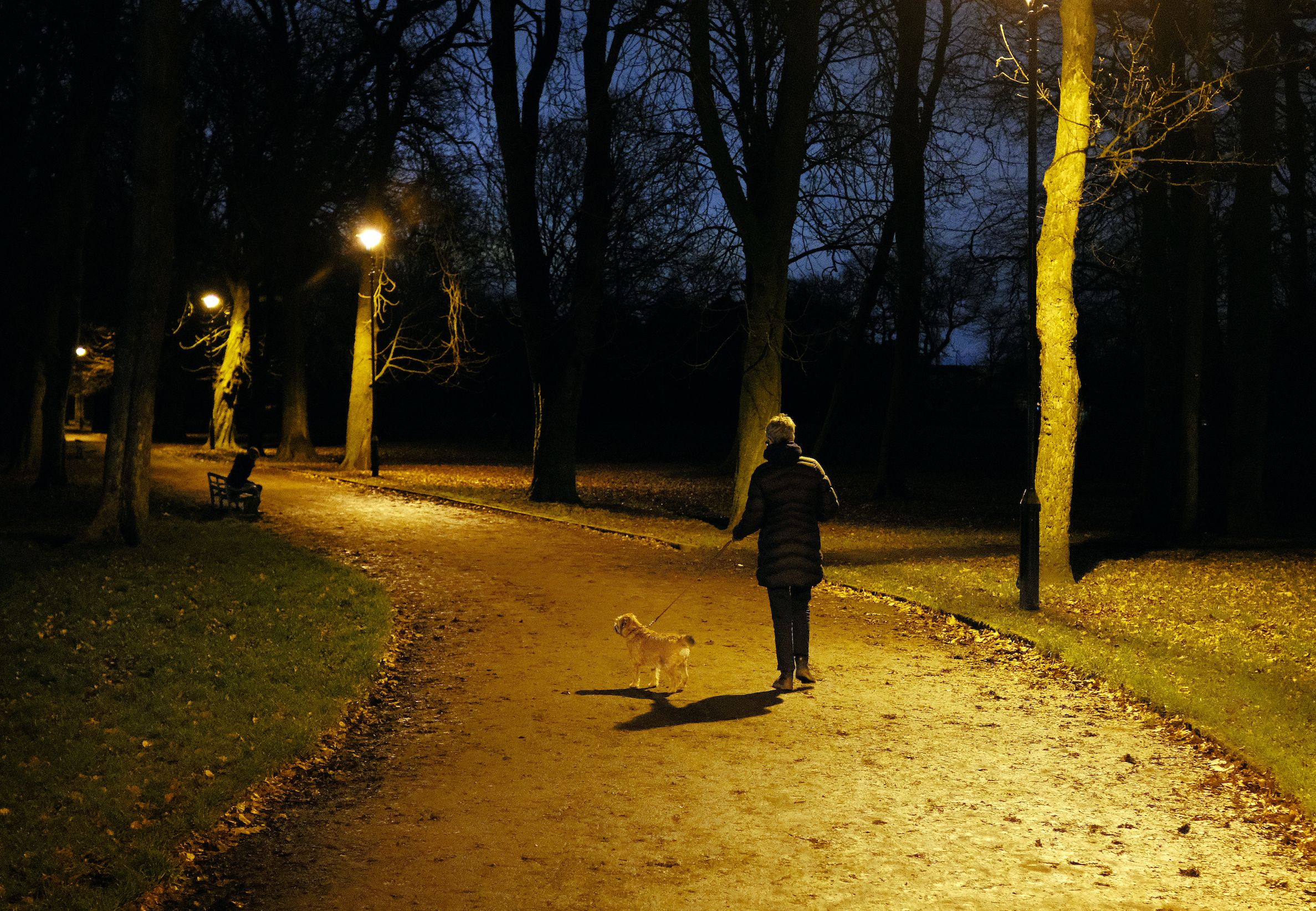 Everything You Need to Know About Walking a Dog Safely at Night