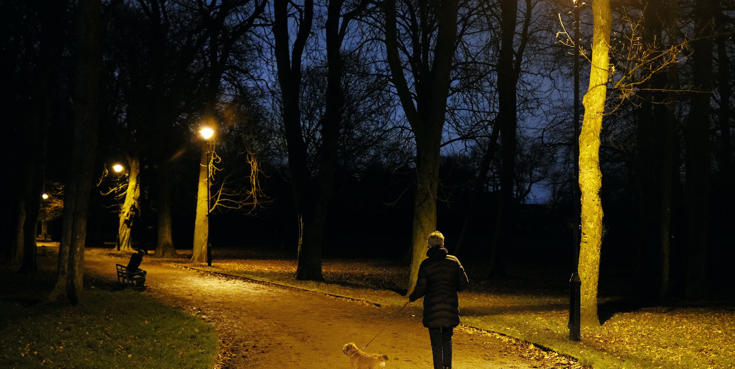 people walking at night