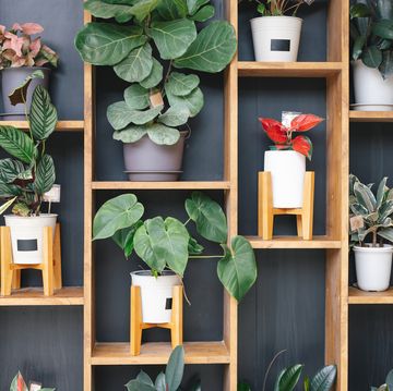 wall of interior decorative artificial plastic green plants in apartment house