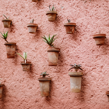 wall planters