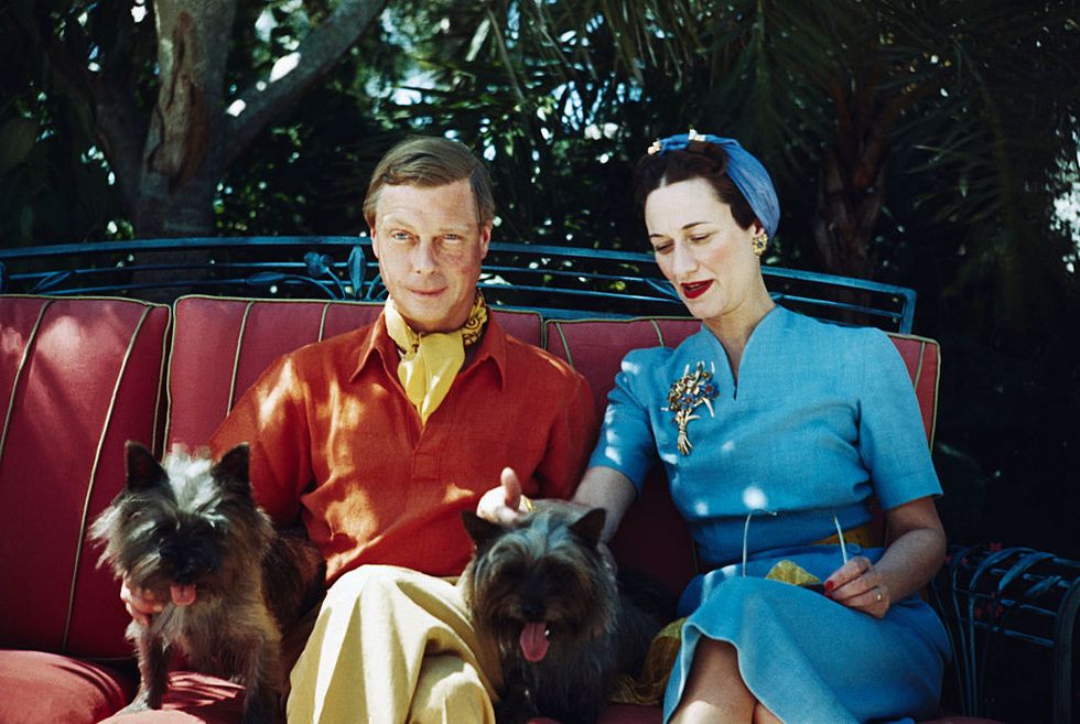 the duke and duchess of windsor seated outdoors with two small dogs photo by bettmann via getty images