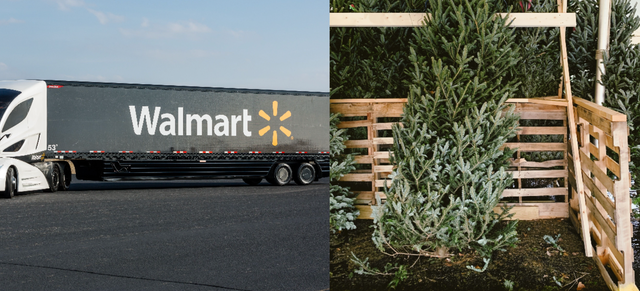walmart introduces christmas tree delivery service