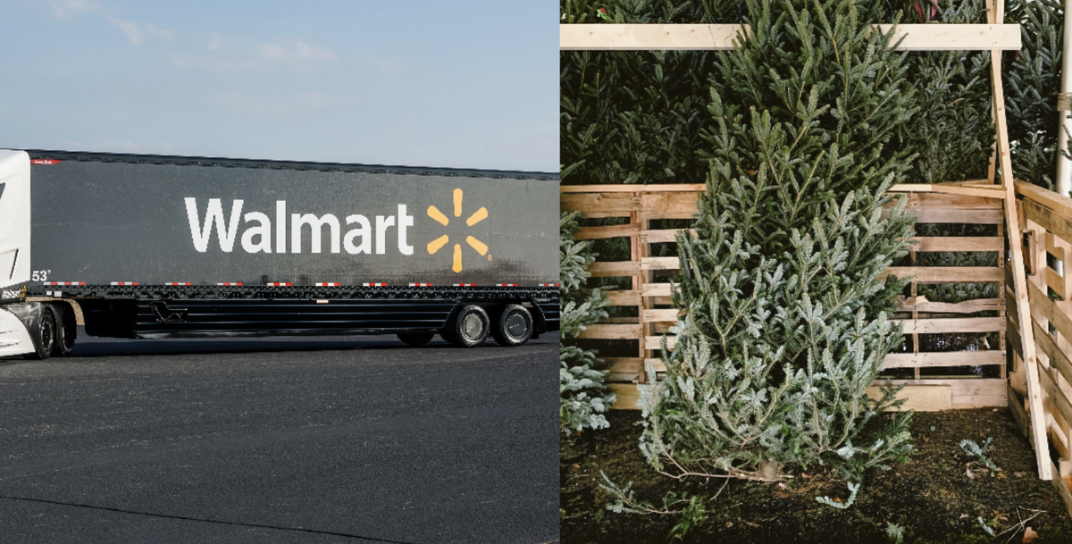 walmart introduces christmas tree delivery service