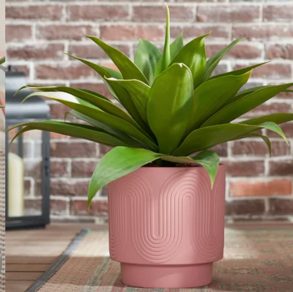 You Can Still Grab Those Viral TikTok Planters From Walmart