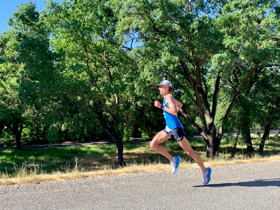 Sports, Running, Outdoor recreation, Tree, Recreation, Endurance sports, Athlete, Individual sports, Long-distance running, Jogging, 
