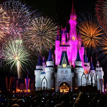 walt disney world - magic kingdom castle fireworks