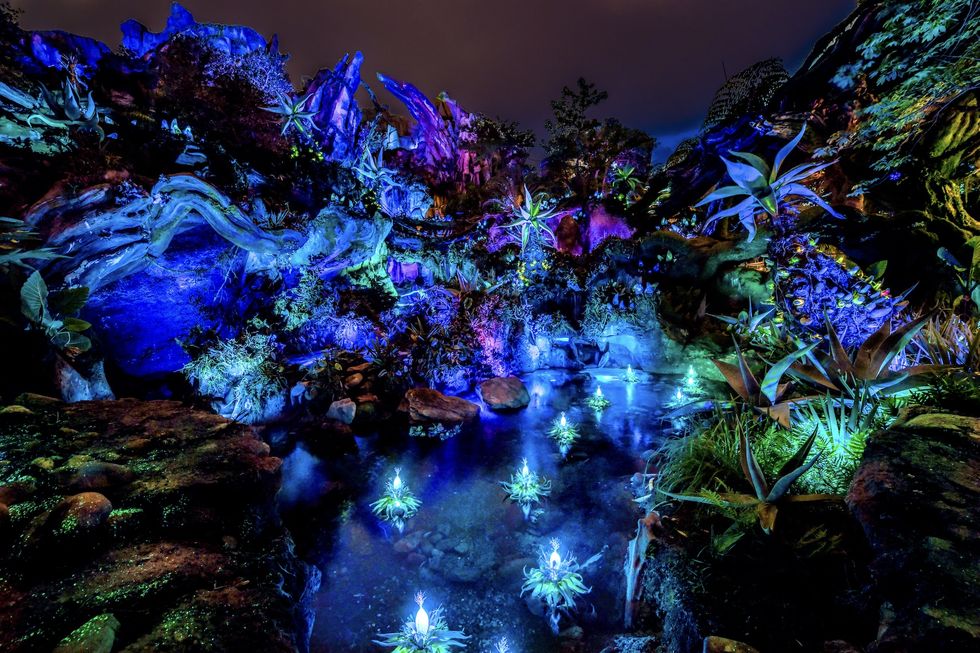 pandora, la tierra de avatar, vista de noche con luces brillantes en walt disney world