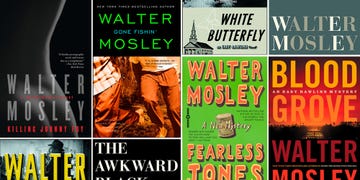 walter mosley books