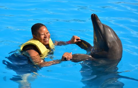Wanda Hartman swimming with dolphin