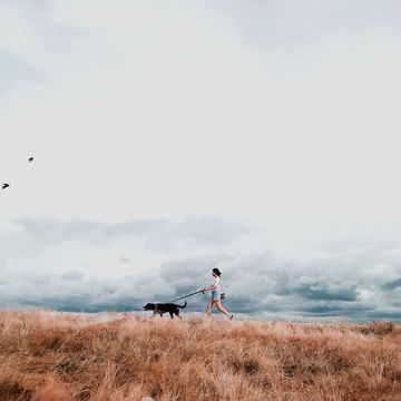 vrouw wandelend met hond in de natuur