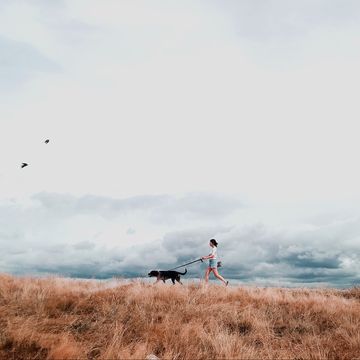 vrouw wandelend met hond in de natuur