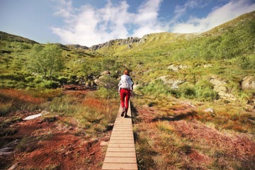 wandelen brug buiten