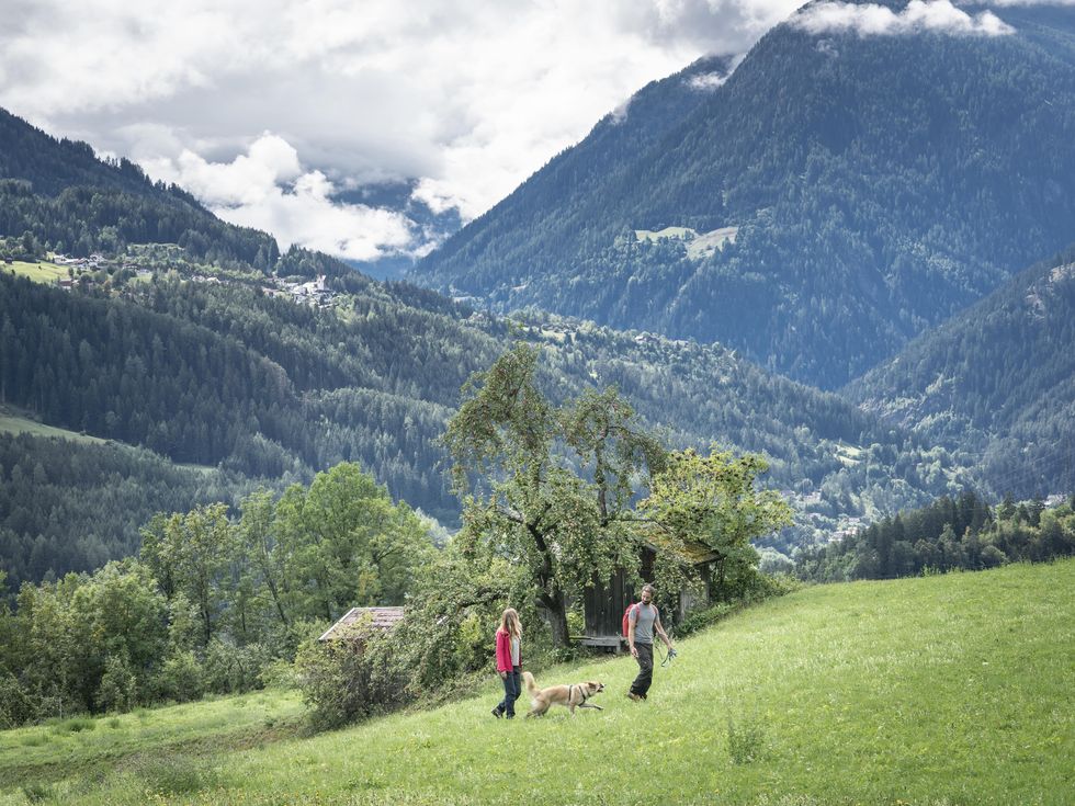 Het landschap rond de stad Landeck in Tirol leent zich voor mooie wandelingen een levert prachtige culinaire producten
