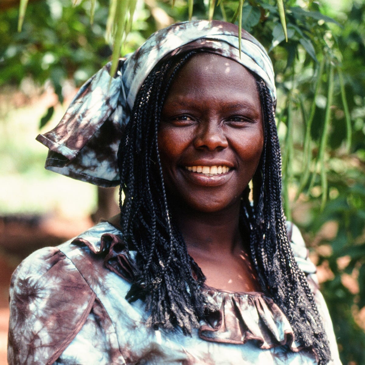 Wangari Maathai – Facts 