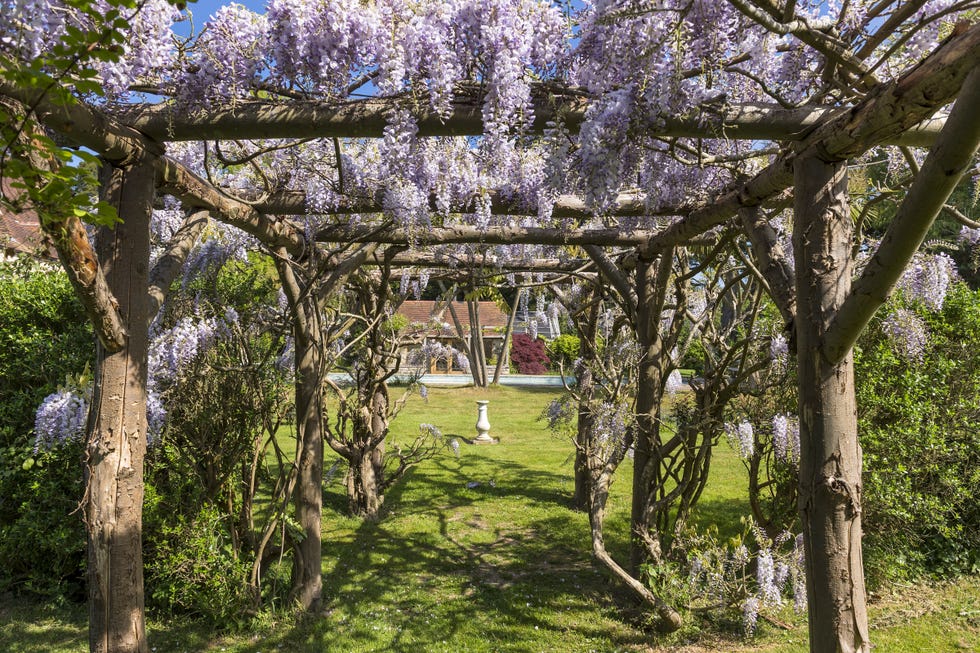 Warblington Castle - pergola - Hampshire -  OnTheMarket.com