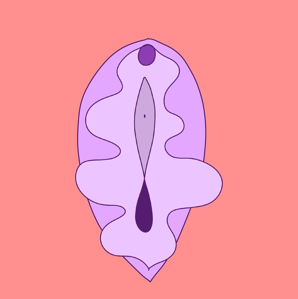 warm colors vagina illustration