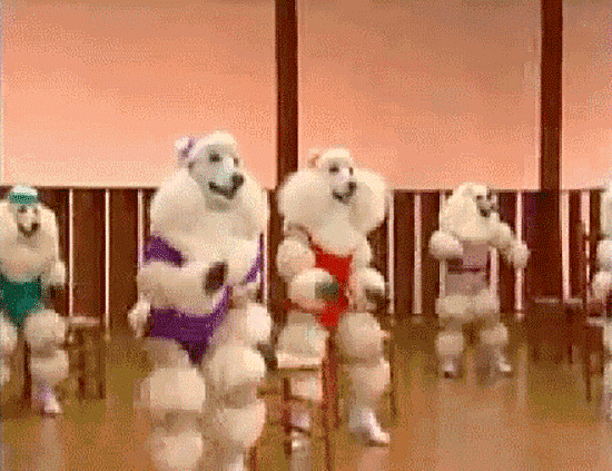 poodles in aerobics