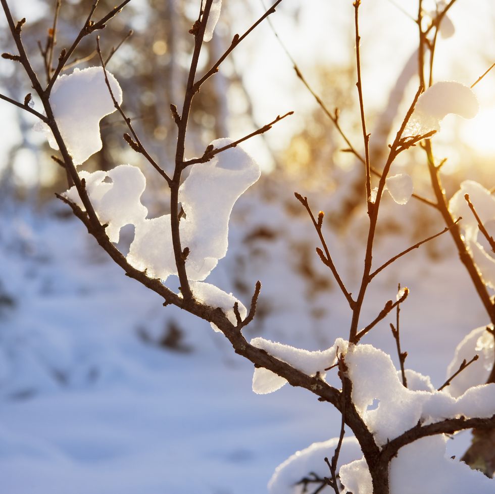 january