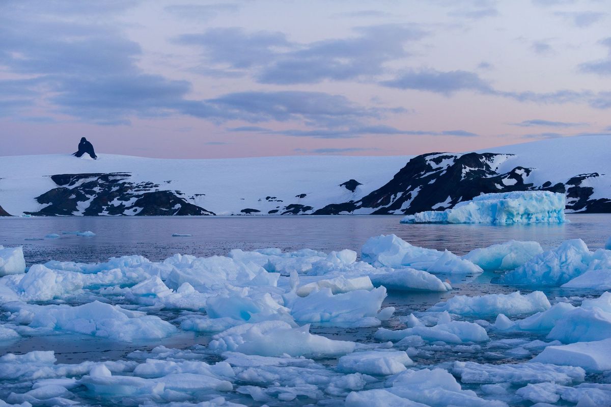 De weersomstandigheden op het Antarctische Schiereiland hebben de temperaturen deze zomer nog verder opgedreven Het eiland hierboven is King George Island