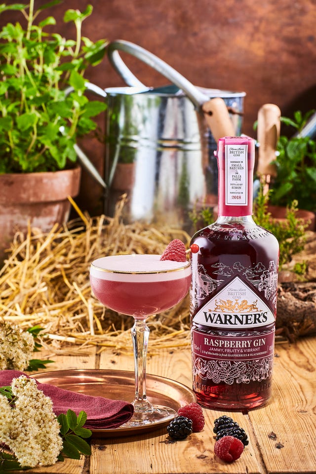 Drink, Alcoholic beverage, Liqueur, Distilled beverage, Bottle, Alcohol, Raspberry, Berry, Red wine, Wine glass, 