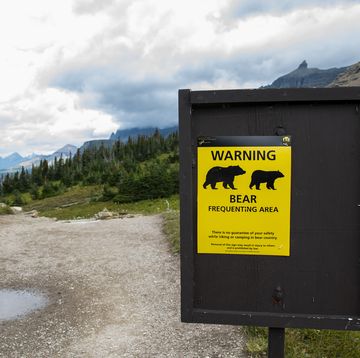 warning post bear frequenting area, montana usa