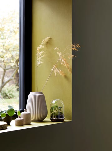 green painted walls adjacent to window with ceramic vases and small terrariums