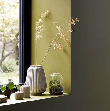 green painted walls adjacent to window with ceramic vases and small terrariums