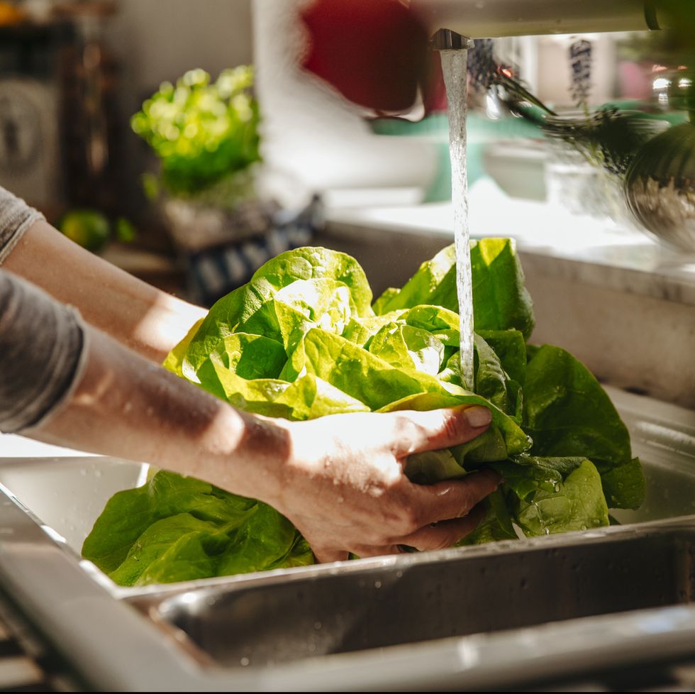 washing lettuce in kitchen