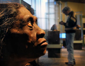 the smithsonian museum of natural history is about to open its' new hall of human origins