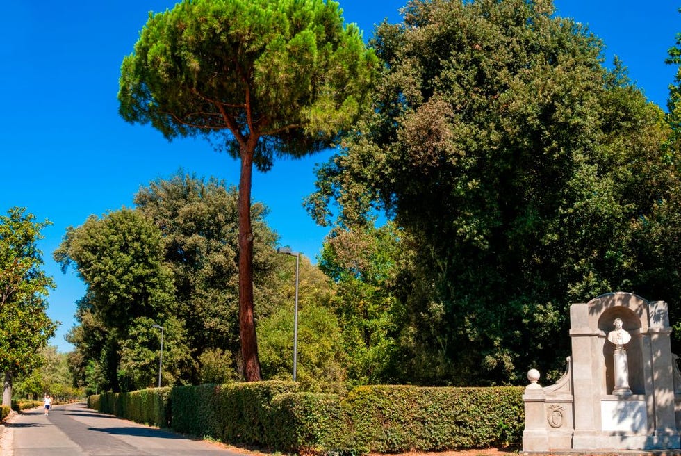 washington monument park of cascine parco delle cascine firenze tuscany italy