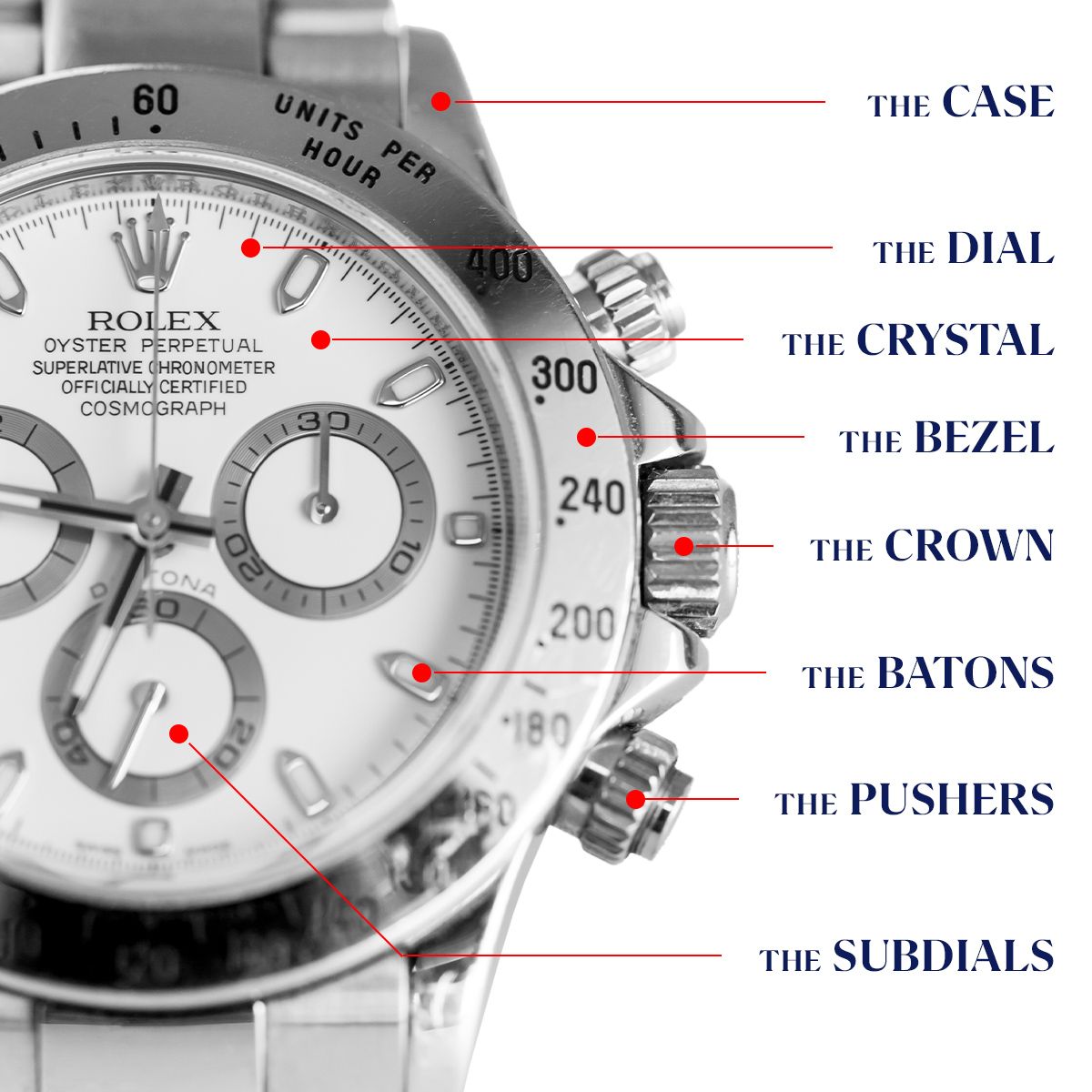 TimeZone Watch School Illustrated Glossary of Watch Parts