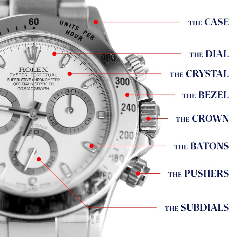 anatomy of watches