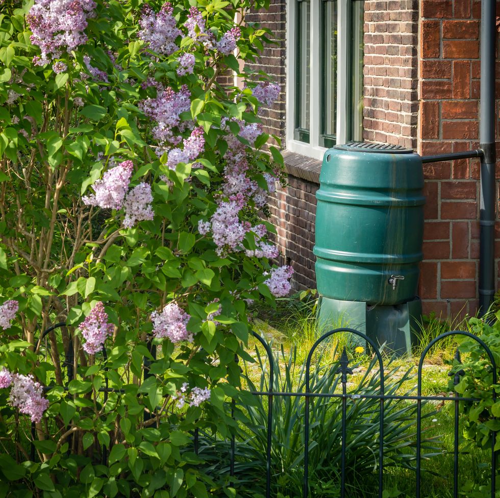 rainwater tank on house facade, reusing rainwater in the garden