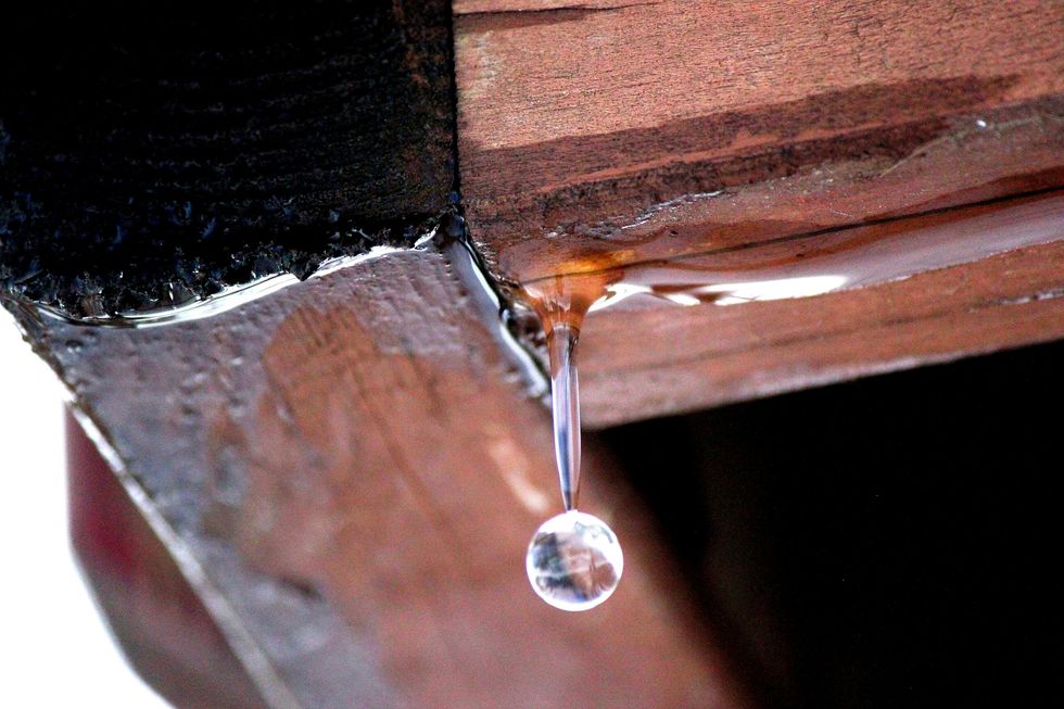 water drop hanging from wooden ceiling
