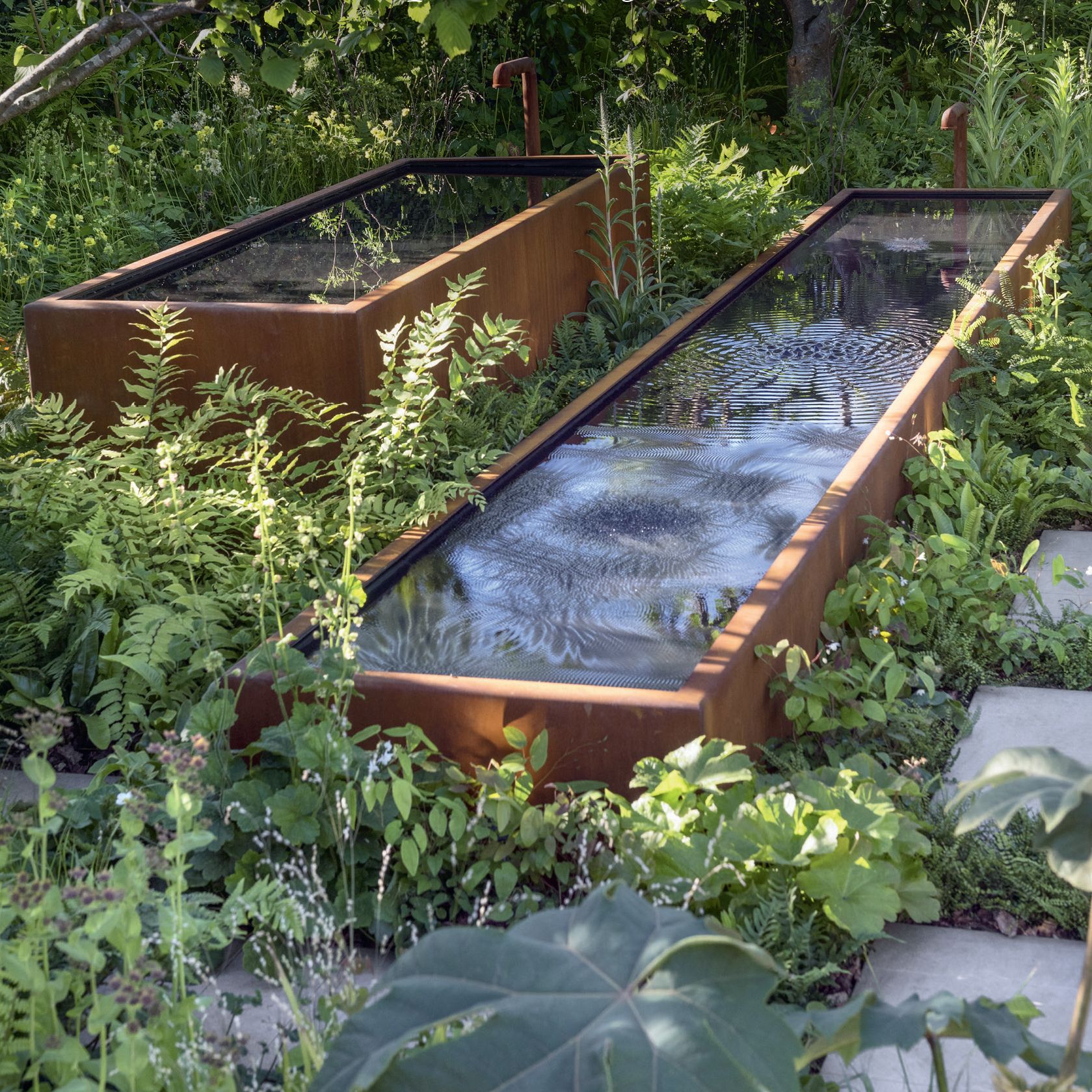 Image of Garden with a water feature