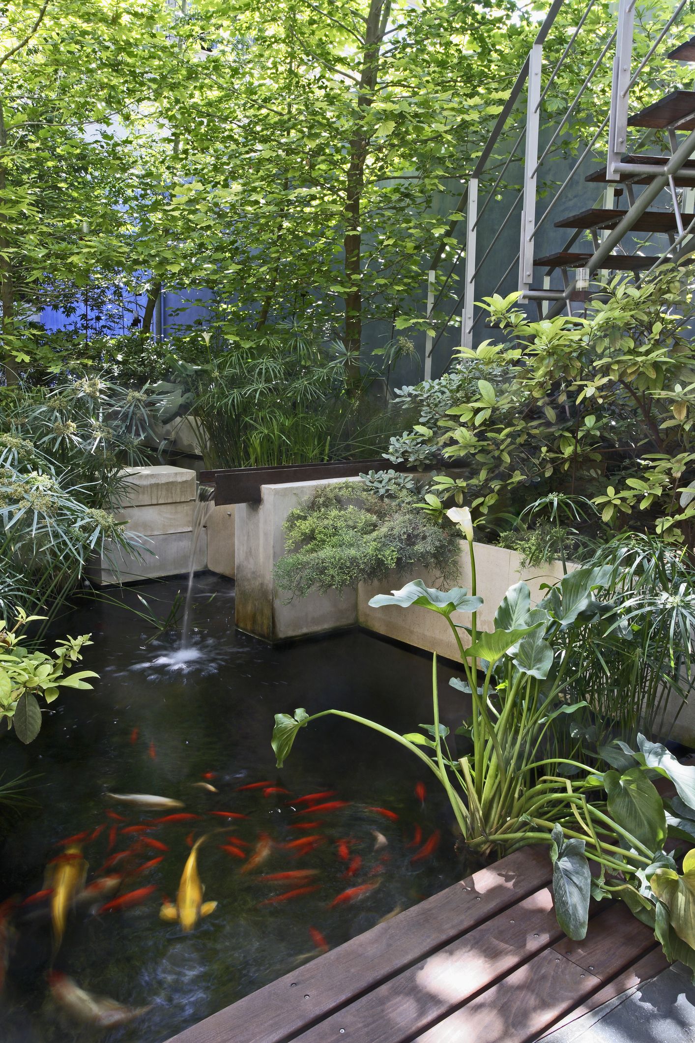 15 Koi Pond Ideas to Inspire a Serene Outdoor Space