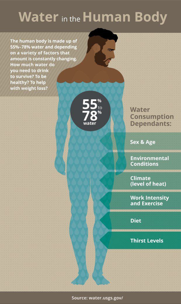 Water In The Human Body infographic