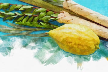 watercolor style and abstract image of jewish festival of sukkot traditional symbols the four species etrog, lulav, hadas, arava
