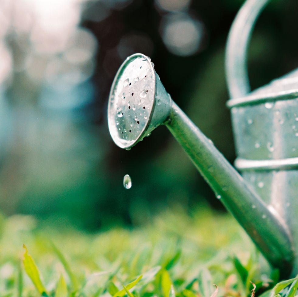 single water droplet falling from watering can on the grass