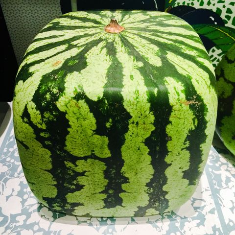 watermelon day